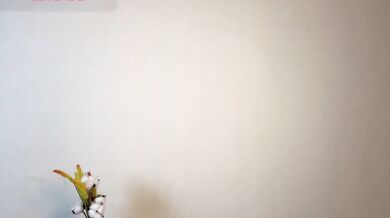 LexieSun - Porn Video [Bongacams]: lovely stunner, exquisite chest, fantastic boobs