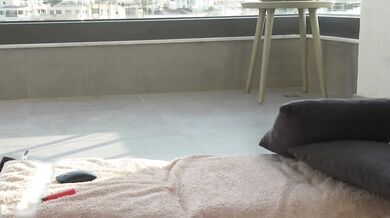 HotBella - Porn Video [Bongacams]: quivering passion, naked behind, erotic passion stream