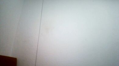 steffiimmergei2 - Porn Video [Cam4]: bootylicious cheeks, vibrant performer, lively content creator