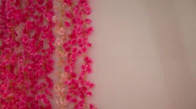 PetulaDainty - Porn Video [Cam4]: engaging entertainer, instagram, gorgeous derriere