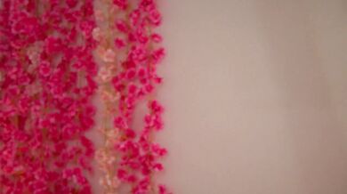 PetulaDainty - Porn Video [Cam4]: engaging entertainer, instagram, gorgeous derriere