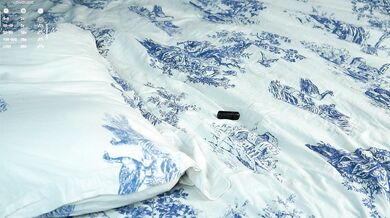 DominoDarnell - Porn Video [Cam4]: chill 10 min chat, ravishing derriere, hot