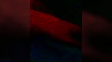 Sexy_meid1 - Porn Video [Cam4]: exquisite cleavage, beautiful porn slut, ravishing figure