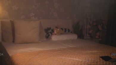 Kottyaaaa - Porn Video [Bongacams]: live recording, intense shivers, flawless figure