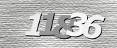 Immagine di protezione