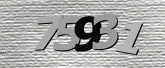 Captcha resmi