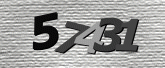 Captcha resmi