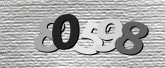 Captcha resmi