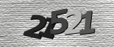 Captcha resmi