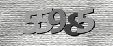 Captcha resmi