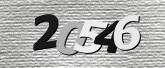 Captcha resmi