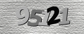Captcha resmi