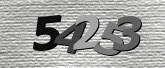 Captcha resmi