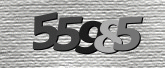 Captcha resmi