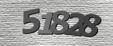 Captcha resmi