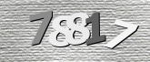 Captcha resmi