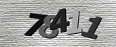 Captcha resmi