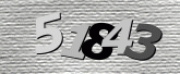 Captcha resmi