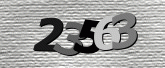 验证码