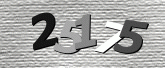 验证码